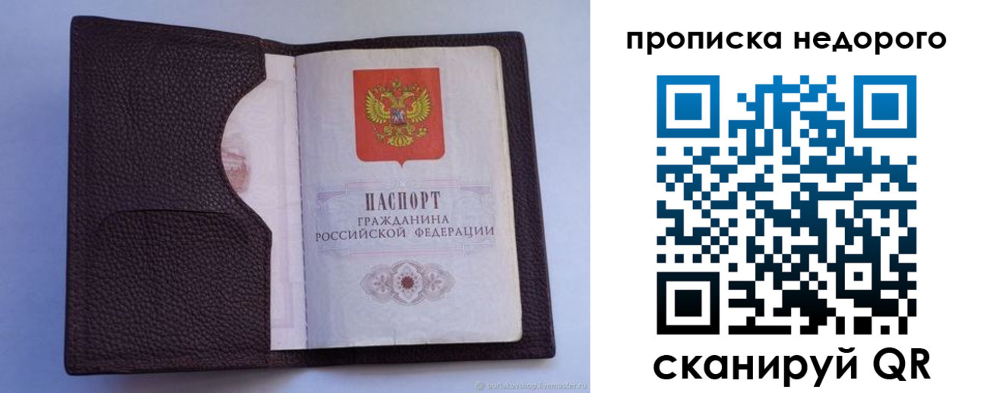 прописка законно в Выборге